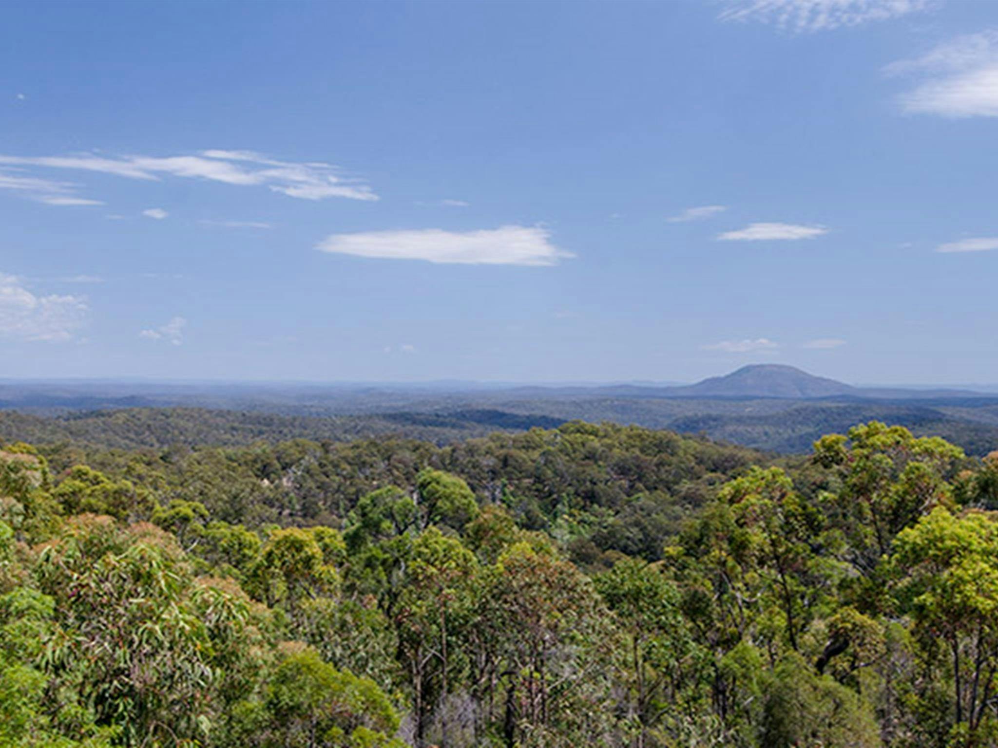 Finchley lookout, Yengo National Park. Photo: John Spencer