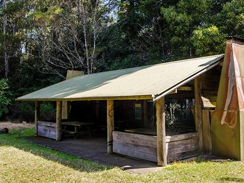 Plateau Beech campground