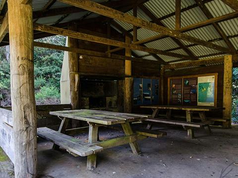 Plateau Beech campground, Werrikimbe National Park. Photo: John Spencer/NSW Government