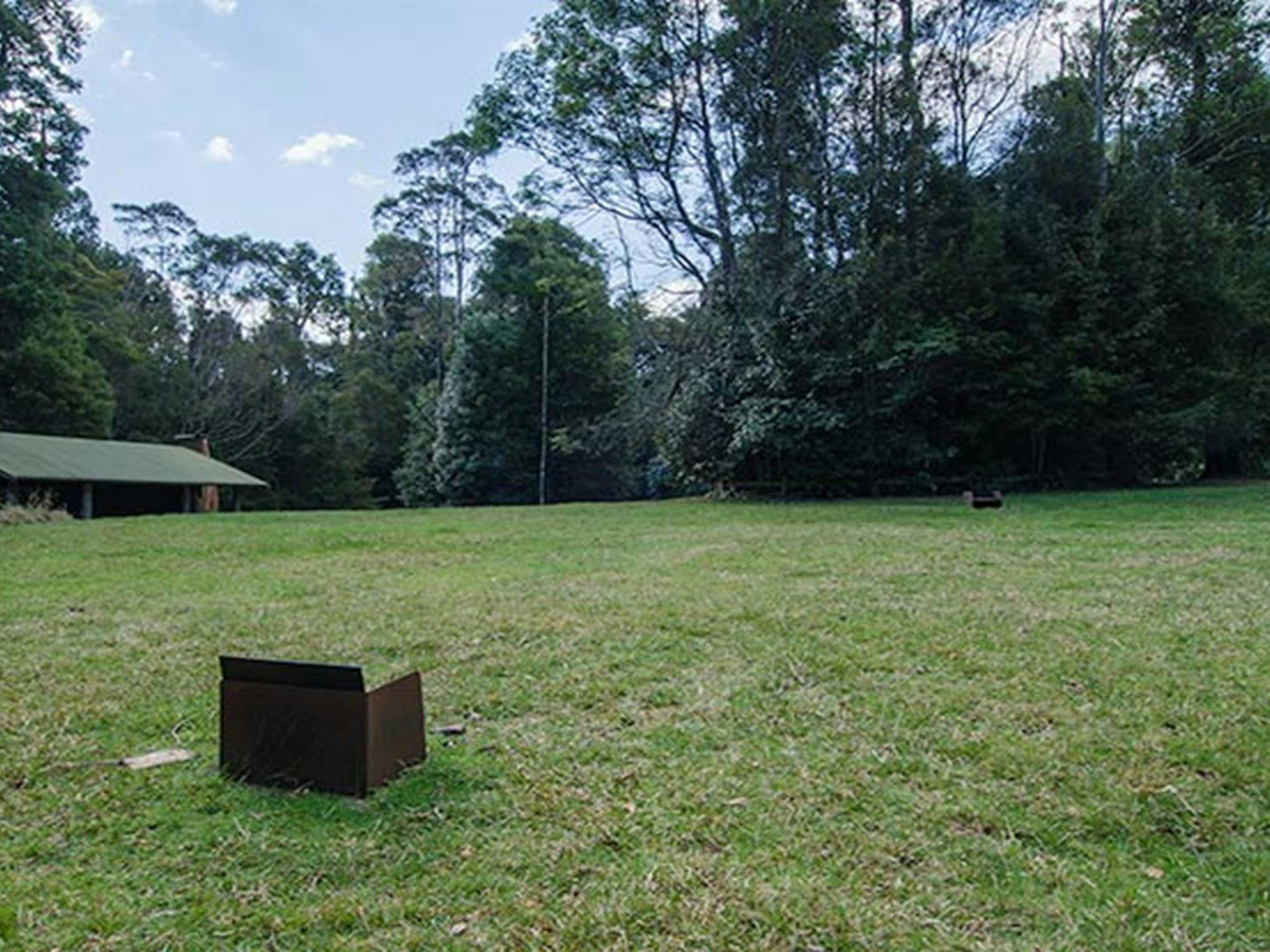 Plateau Beech campground, Werrikimbe National Park. Photo: John Spencer/NSW Government