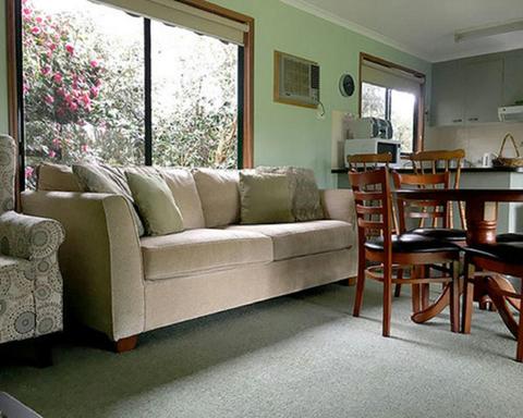 Camelia living room