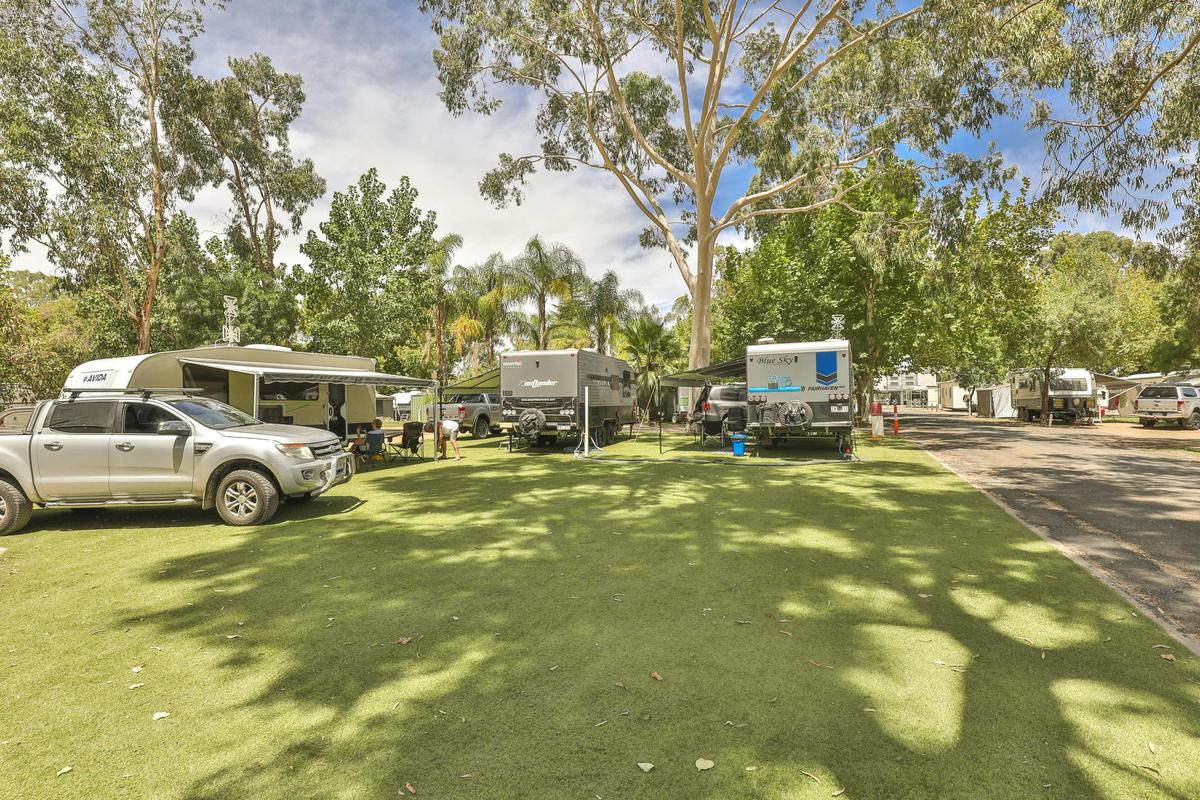 Shady Camping site