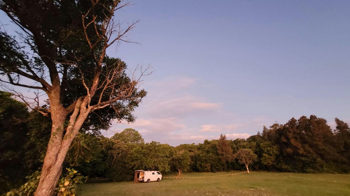 Racecourse Camping