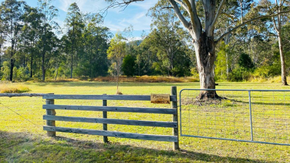 Platypus Creek