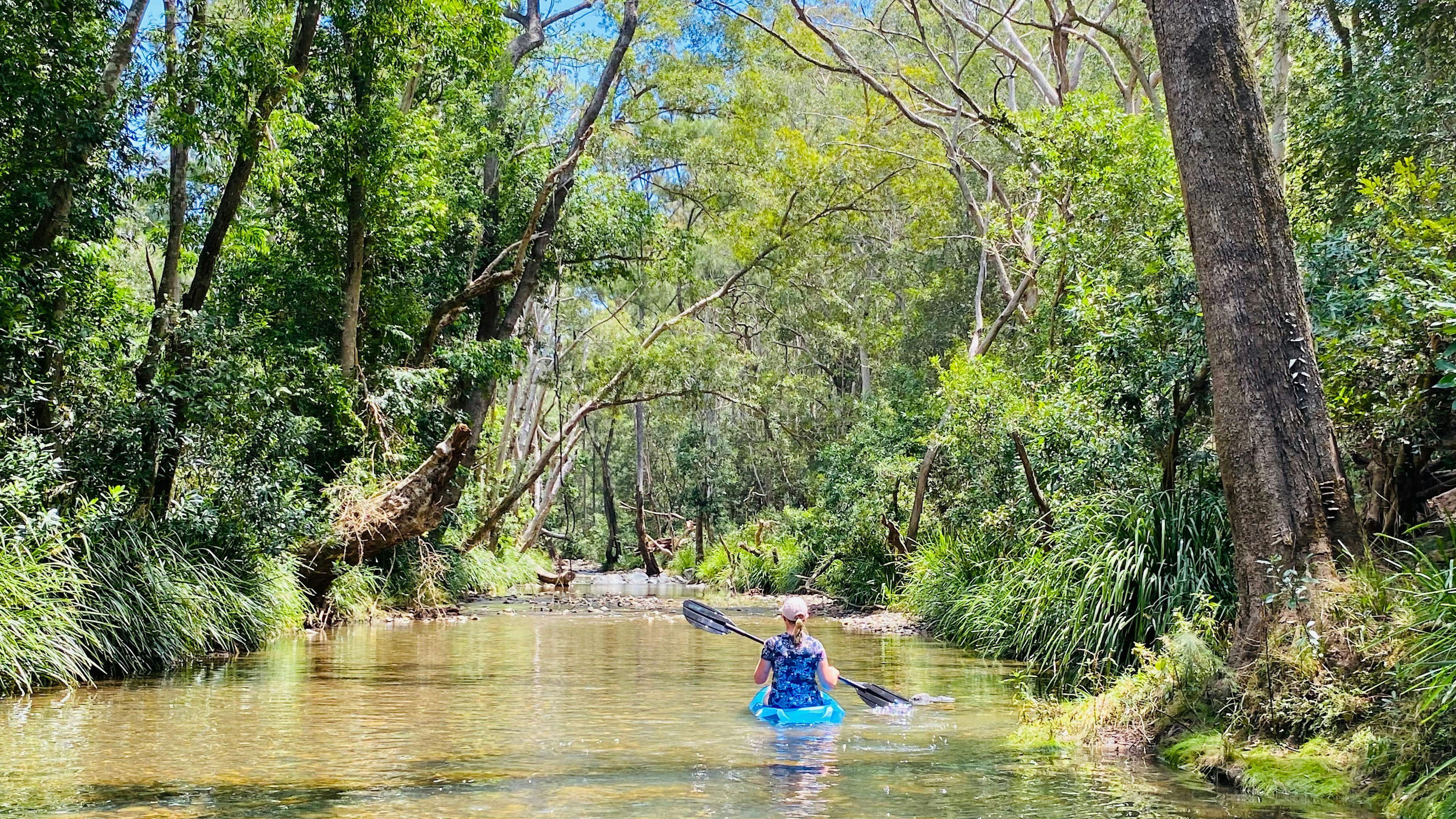 Platypus Creek