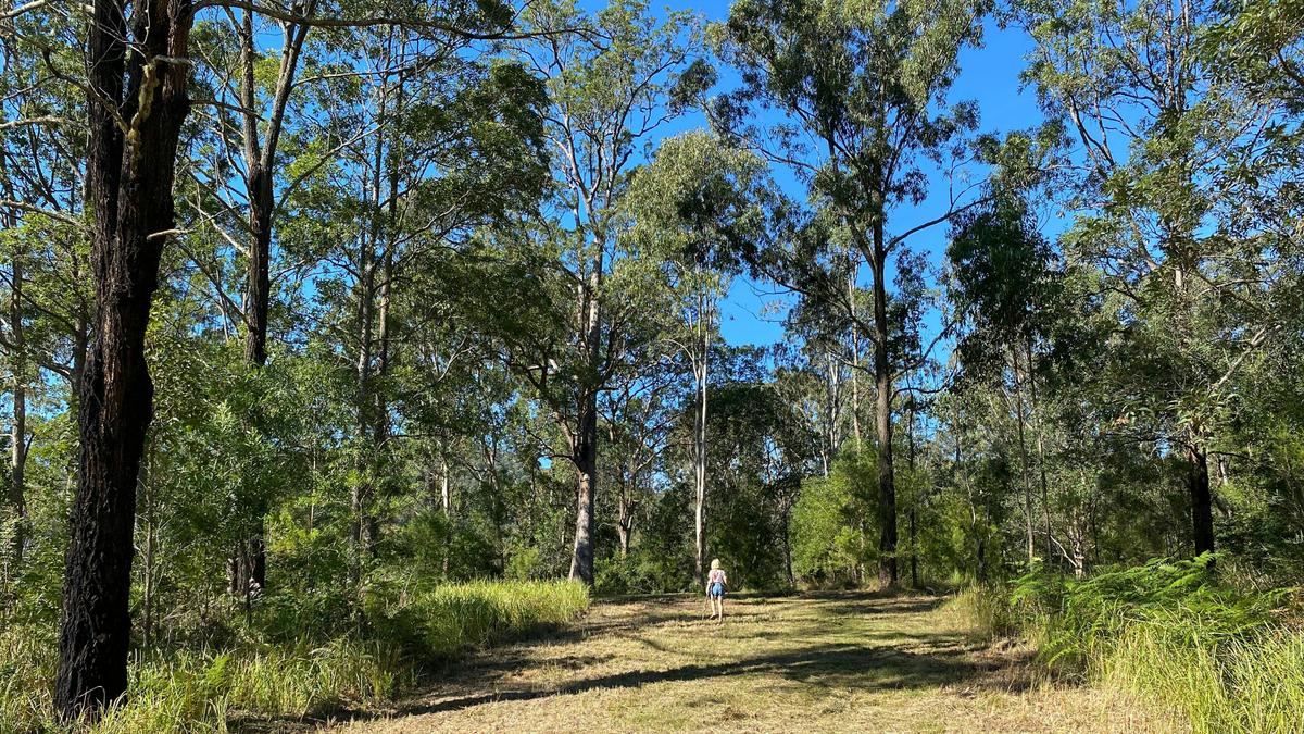 Platypus Creek
