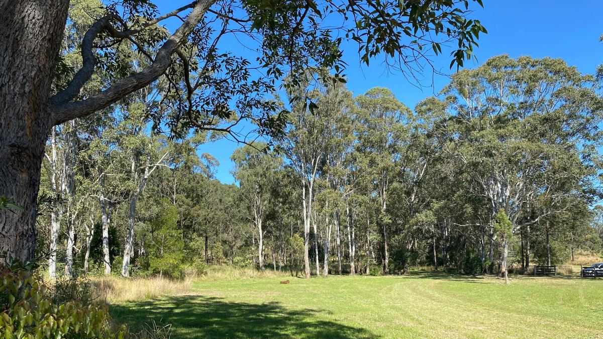 Platypus Creek