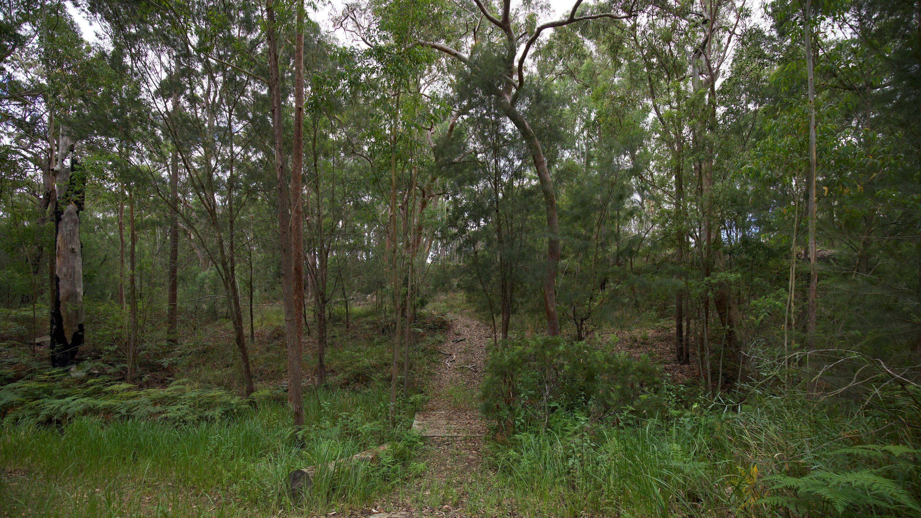 Picturesque Semirural Parking