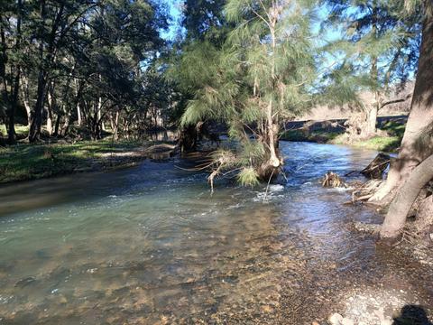 Ration Point Campground