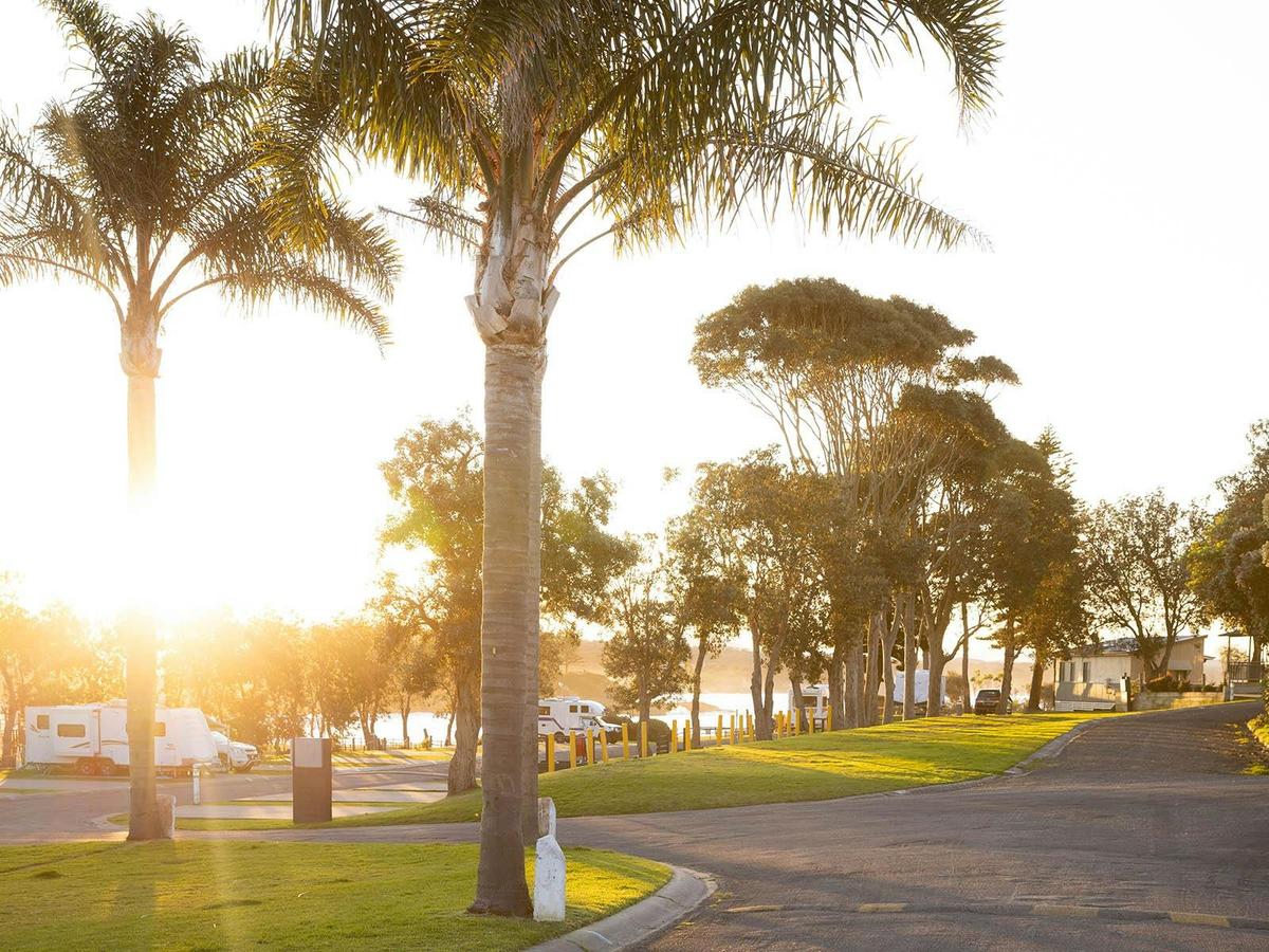 Bermagui - camping