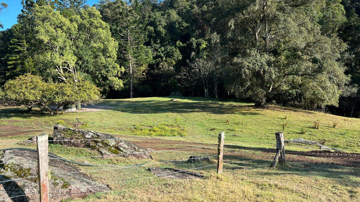 Pine Creek Camping