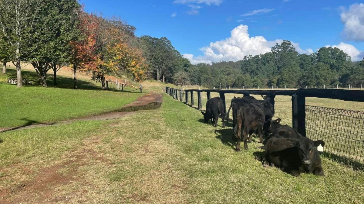 Putty Valley Farm