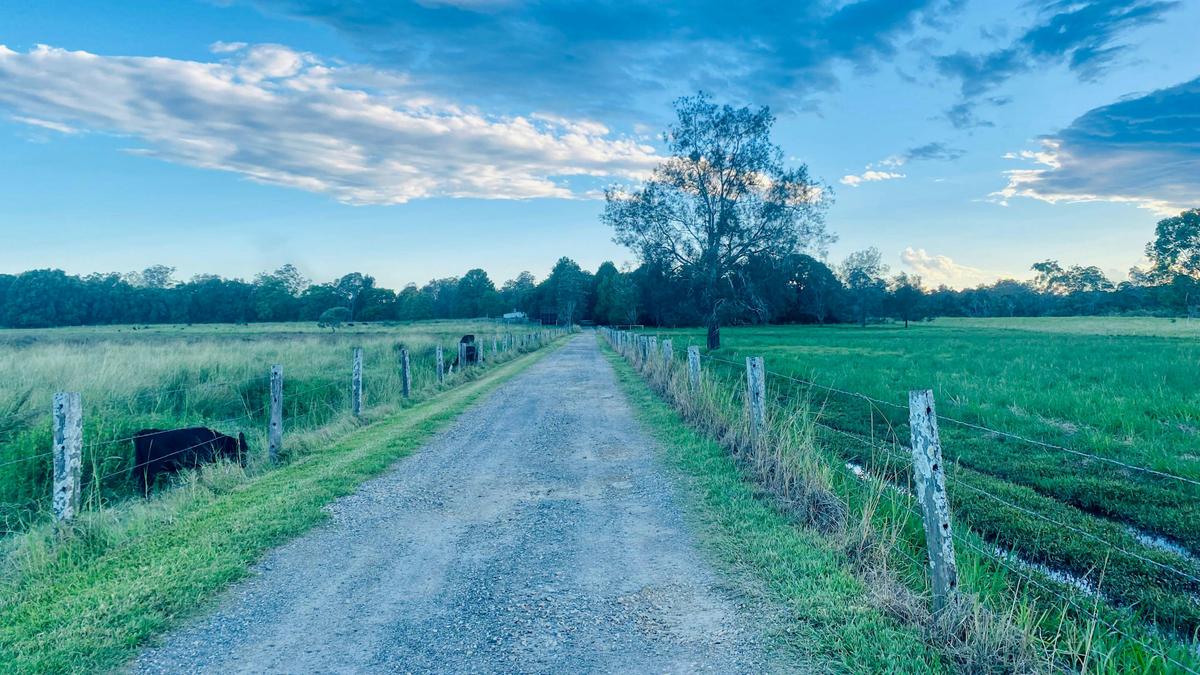 Riverlea Green,  Nambucca Valley