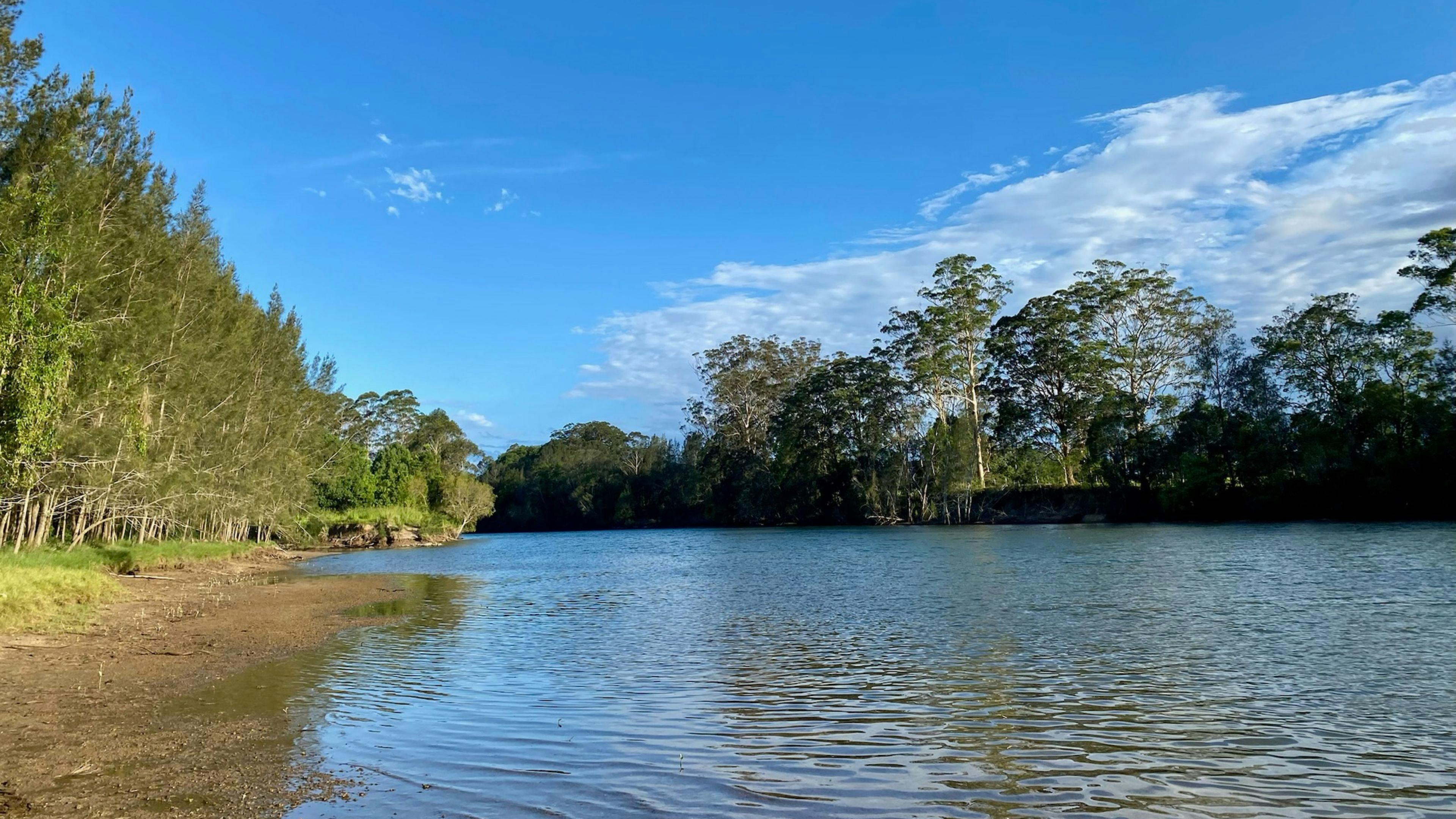 Riverlea Green,  Nambucca Valley