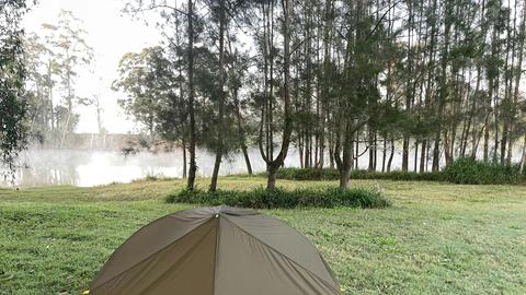 Riverlea Green, Nambucca Valley
