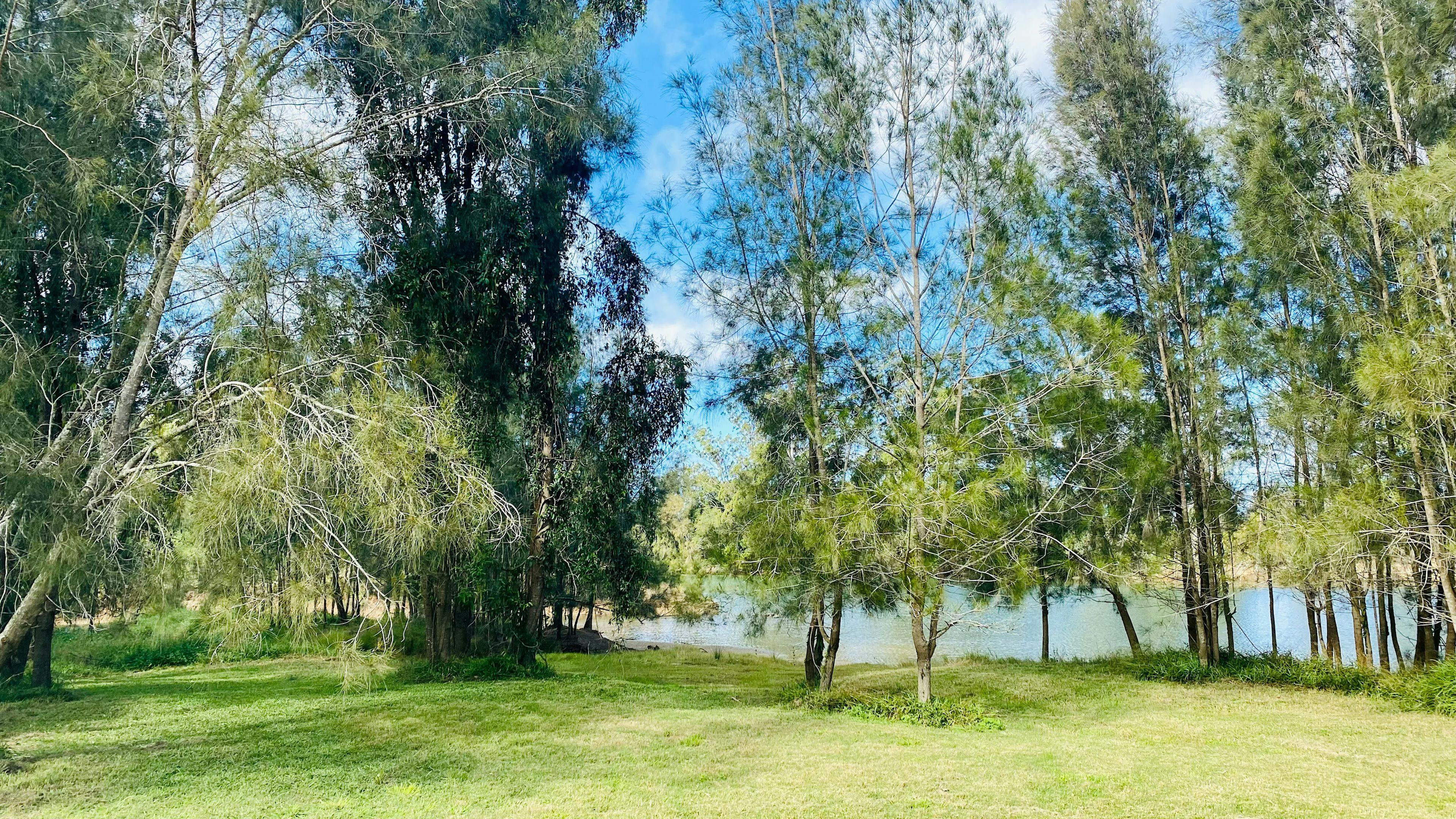 Riverlea Green,  Nambucca Valley