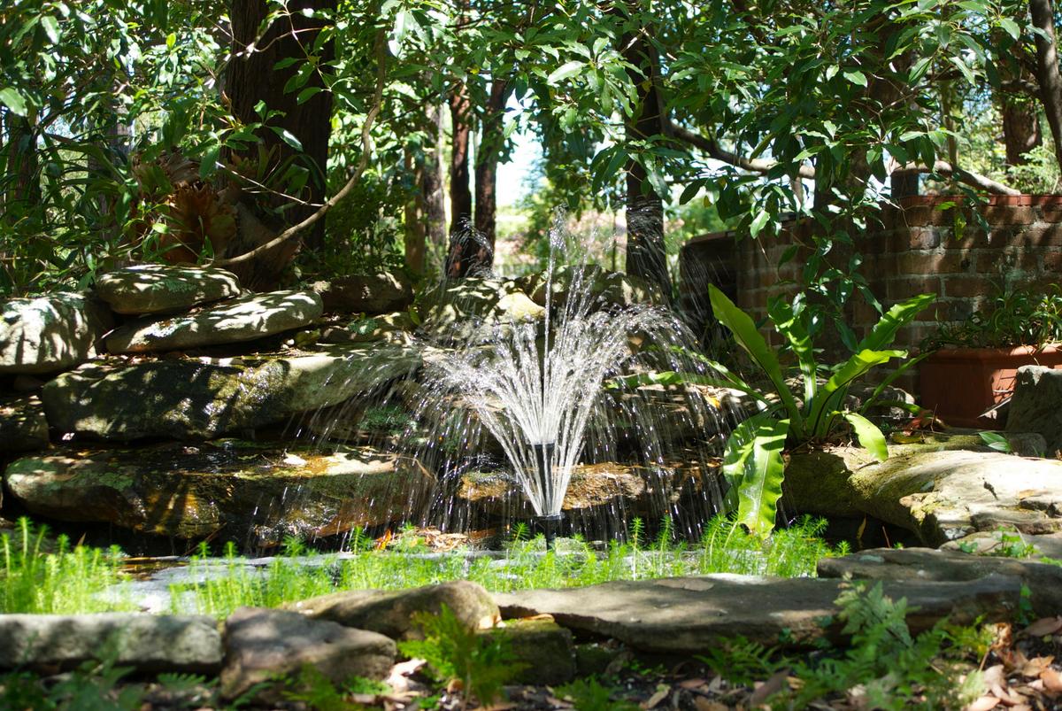 Garden at Rose Lindsay Cottage