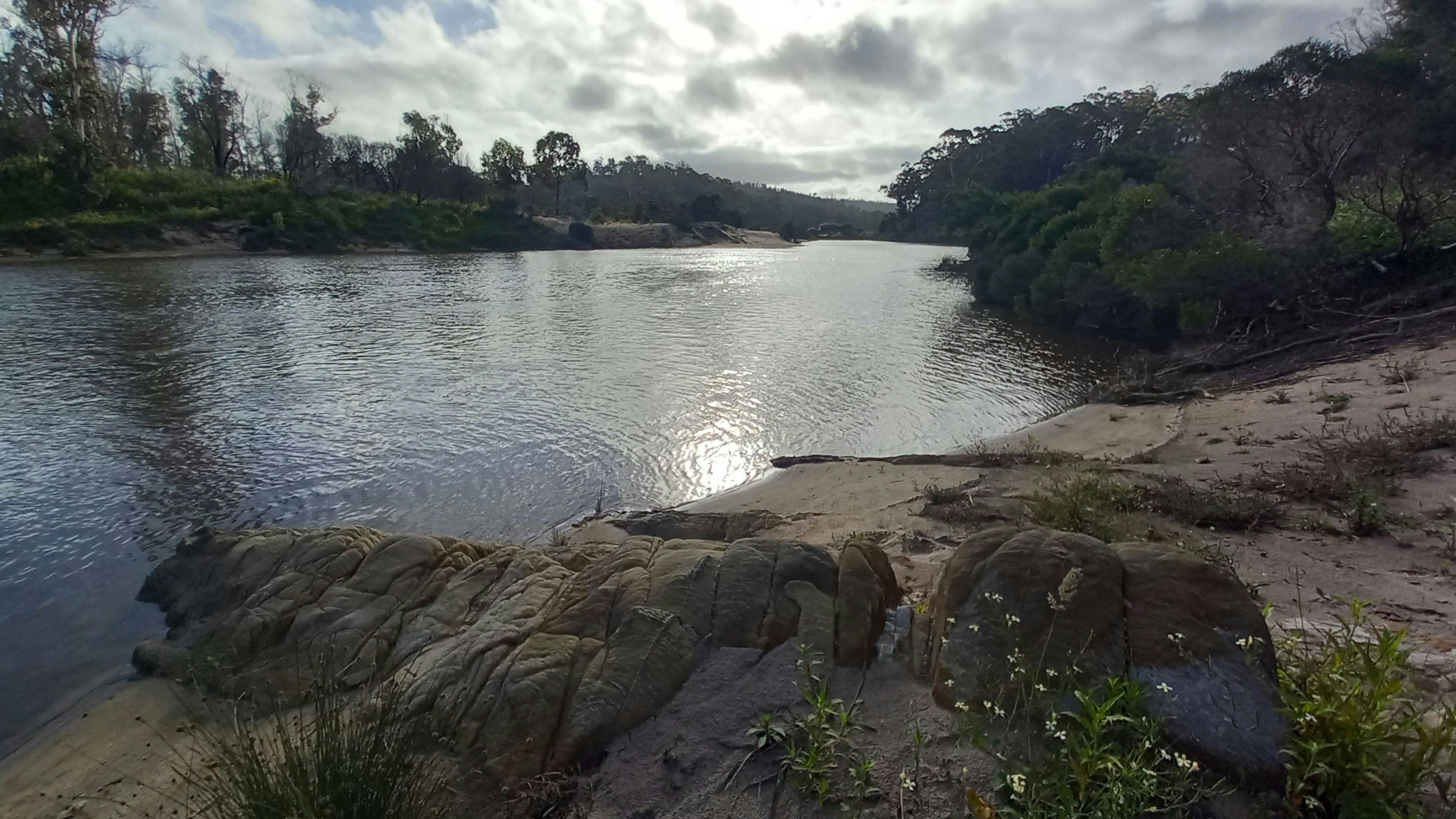 From the beach facing upriver