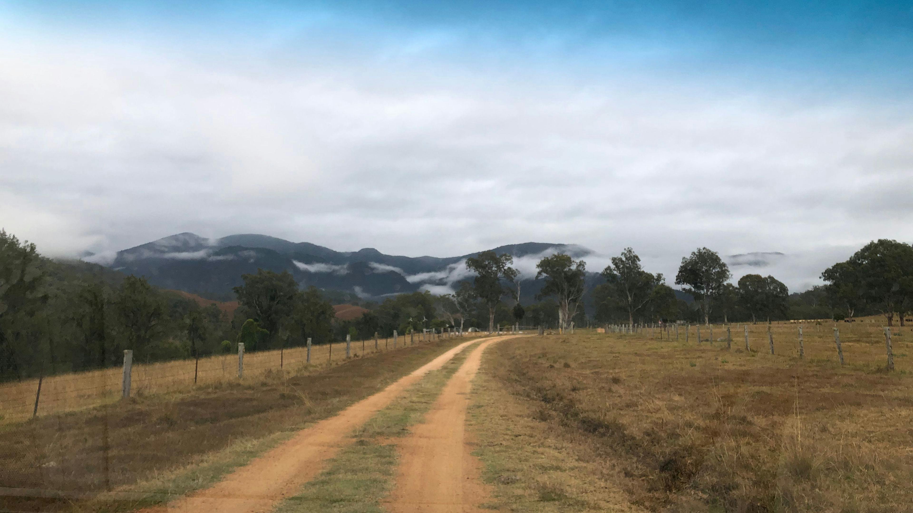 The mornings here are magical — the mist can be so thick you can’t see the hills or trees around you, until the sun finally burns the sky blue