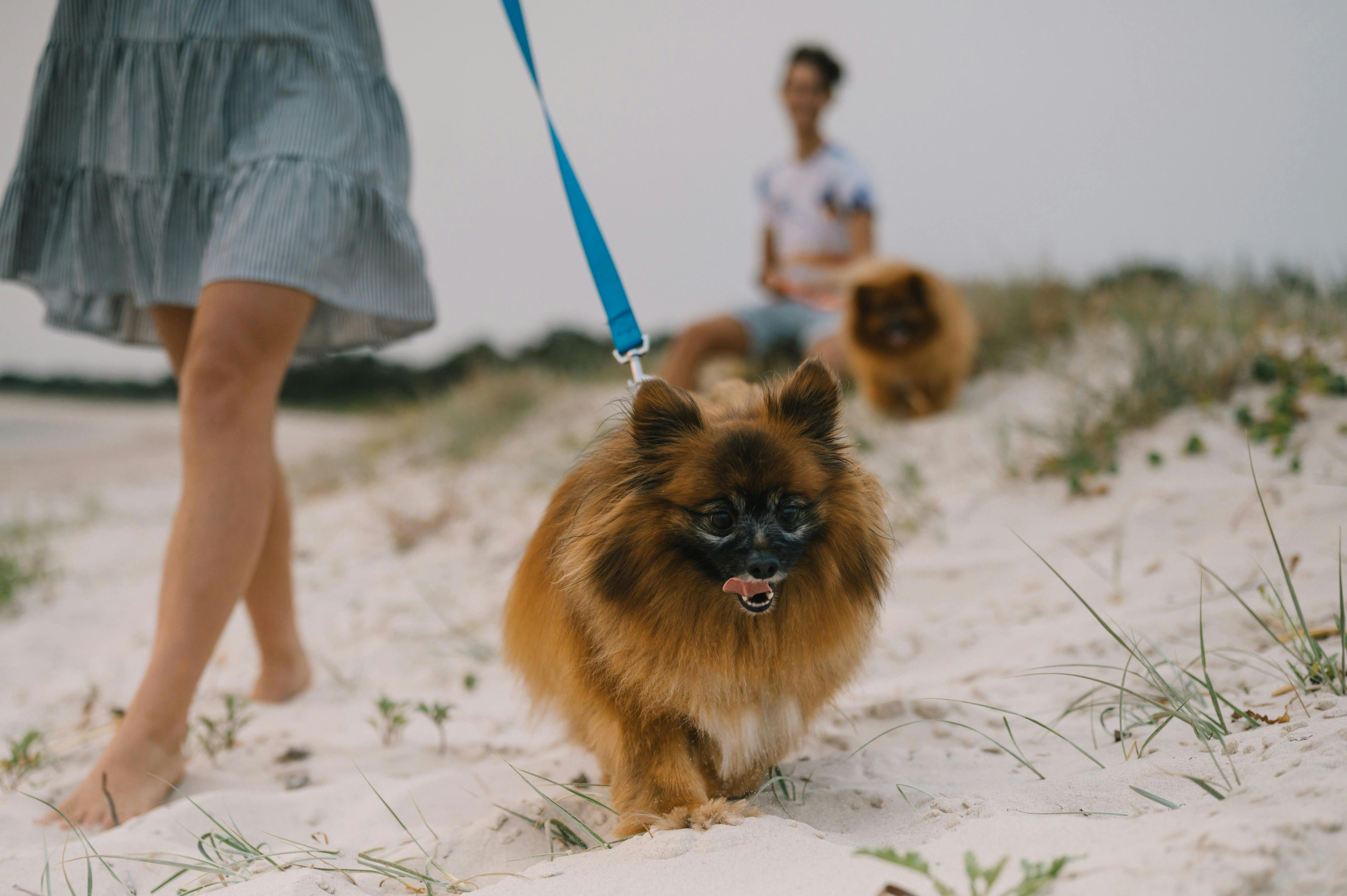 Reflections Pambula - Holiday Park
