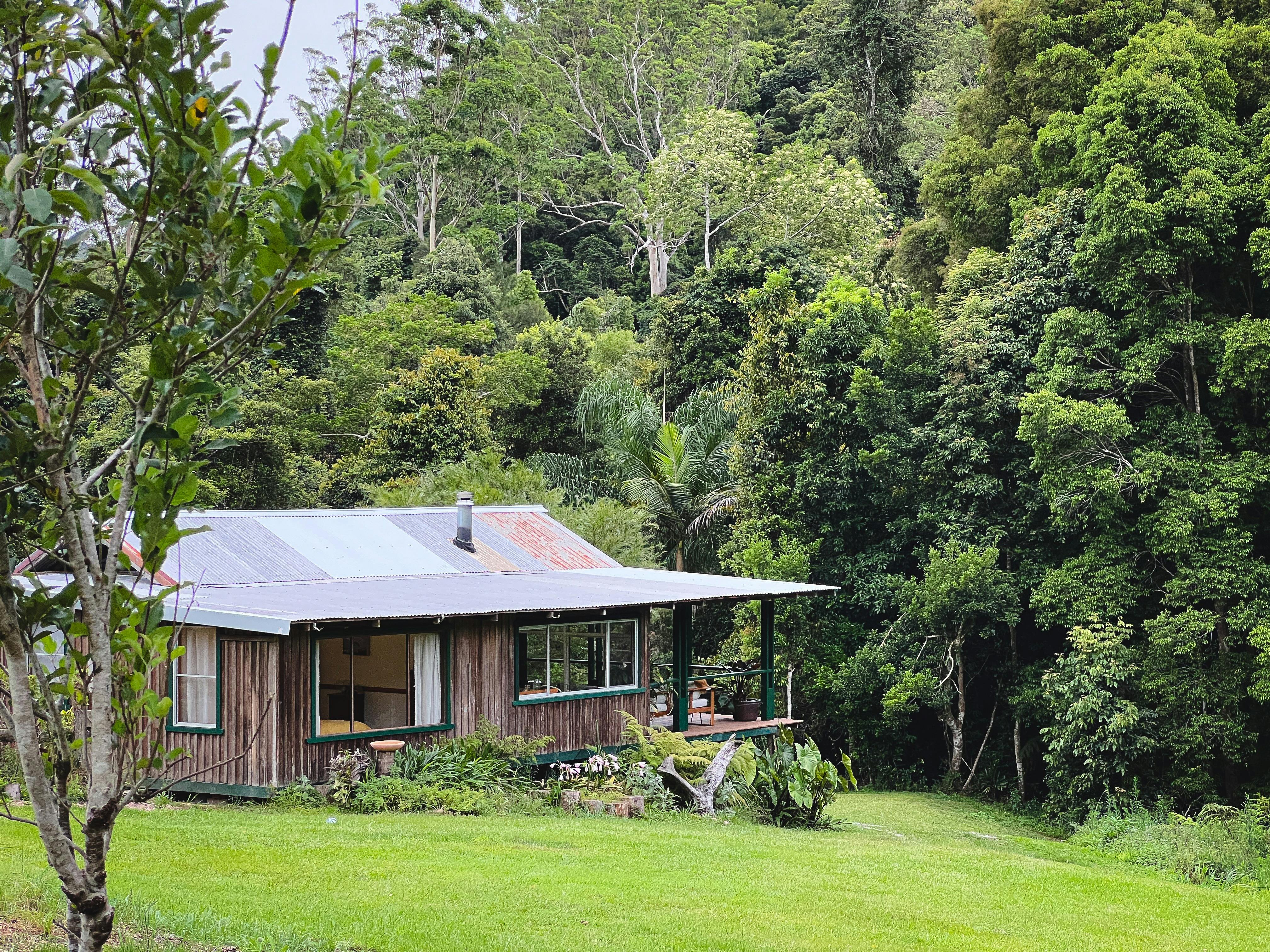Rainbow Creek is situated on the edge of the rainforest