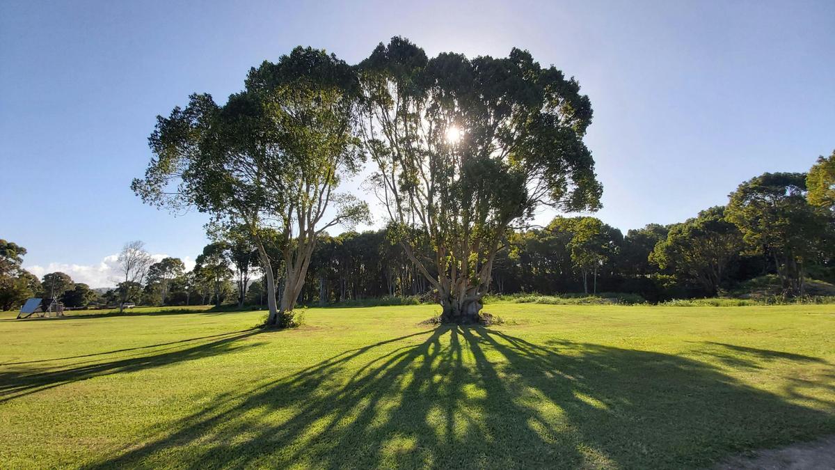 Pottsville Farm