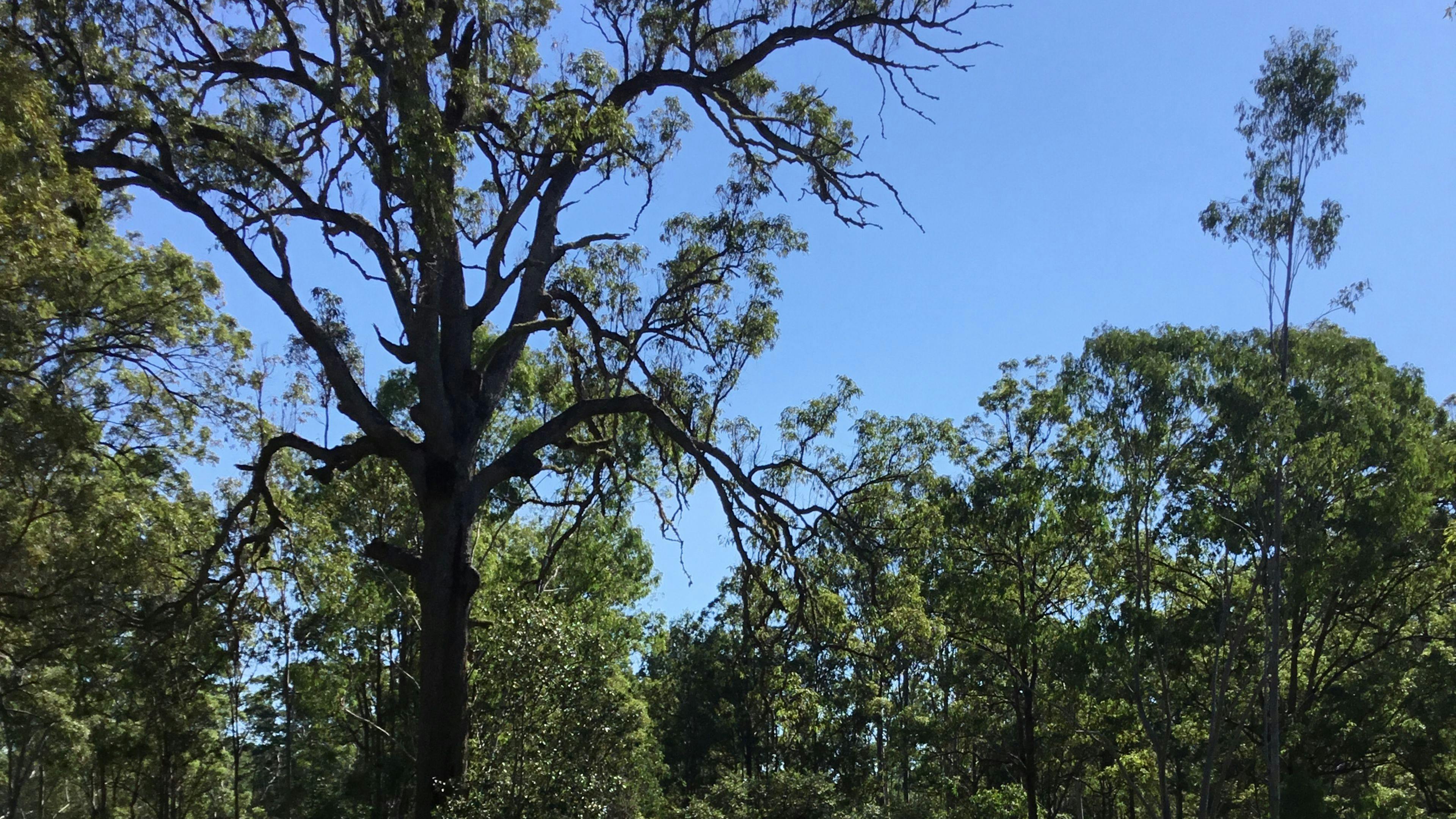 Camp site 1 near Dam
