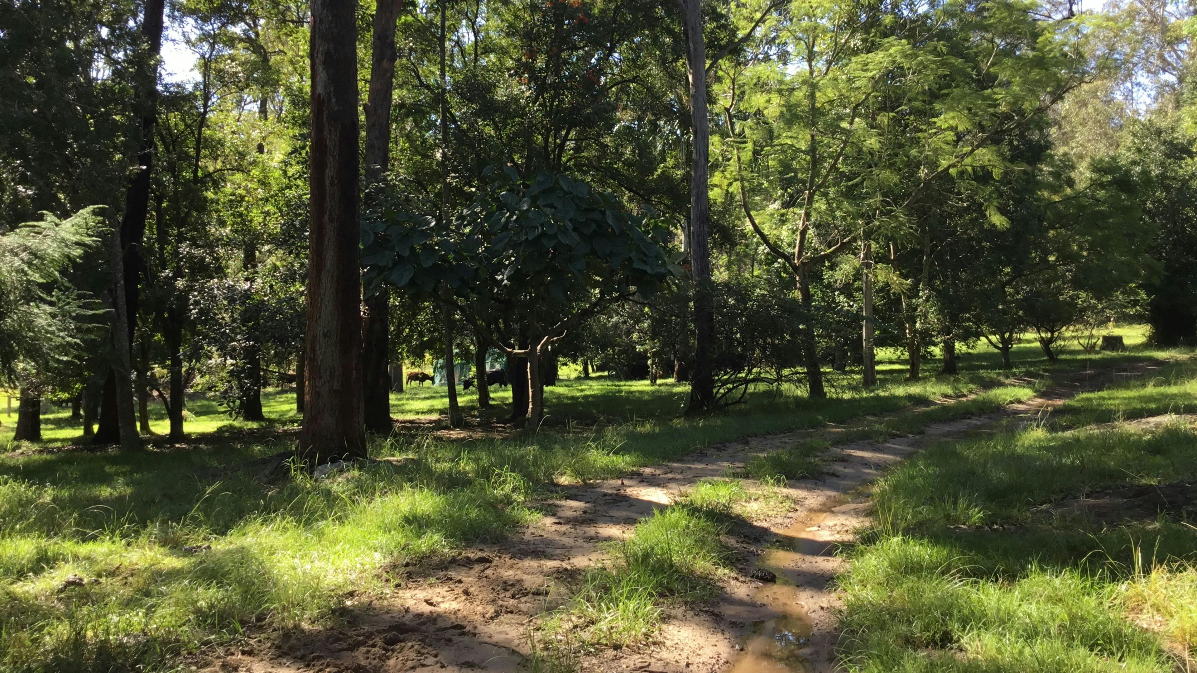 Very private property