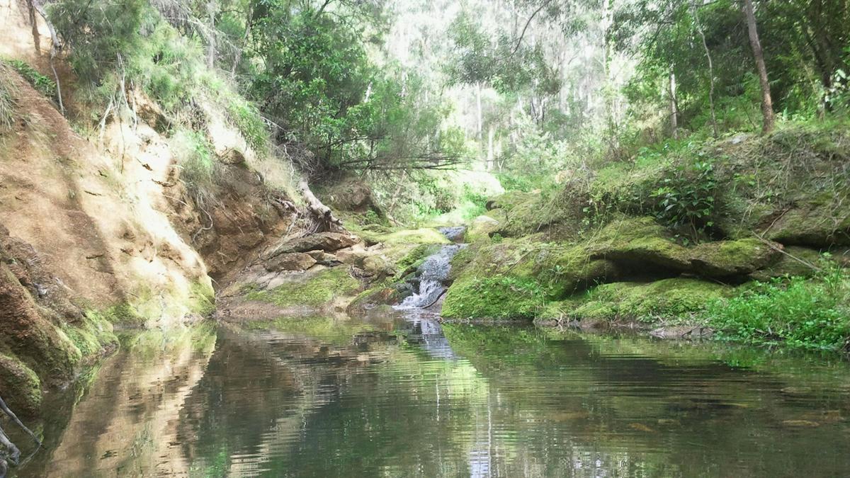 Rose Gum Farm