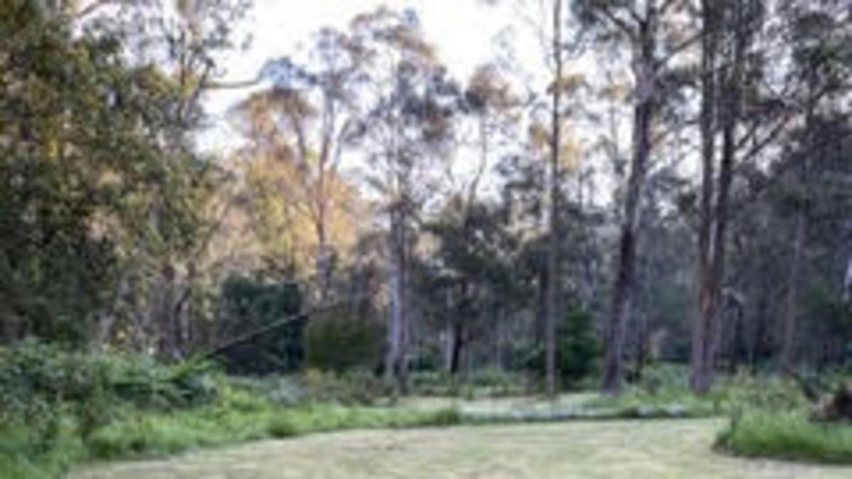 Rose Gum Farm