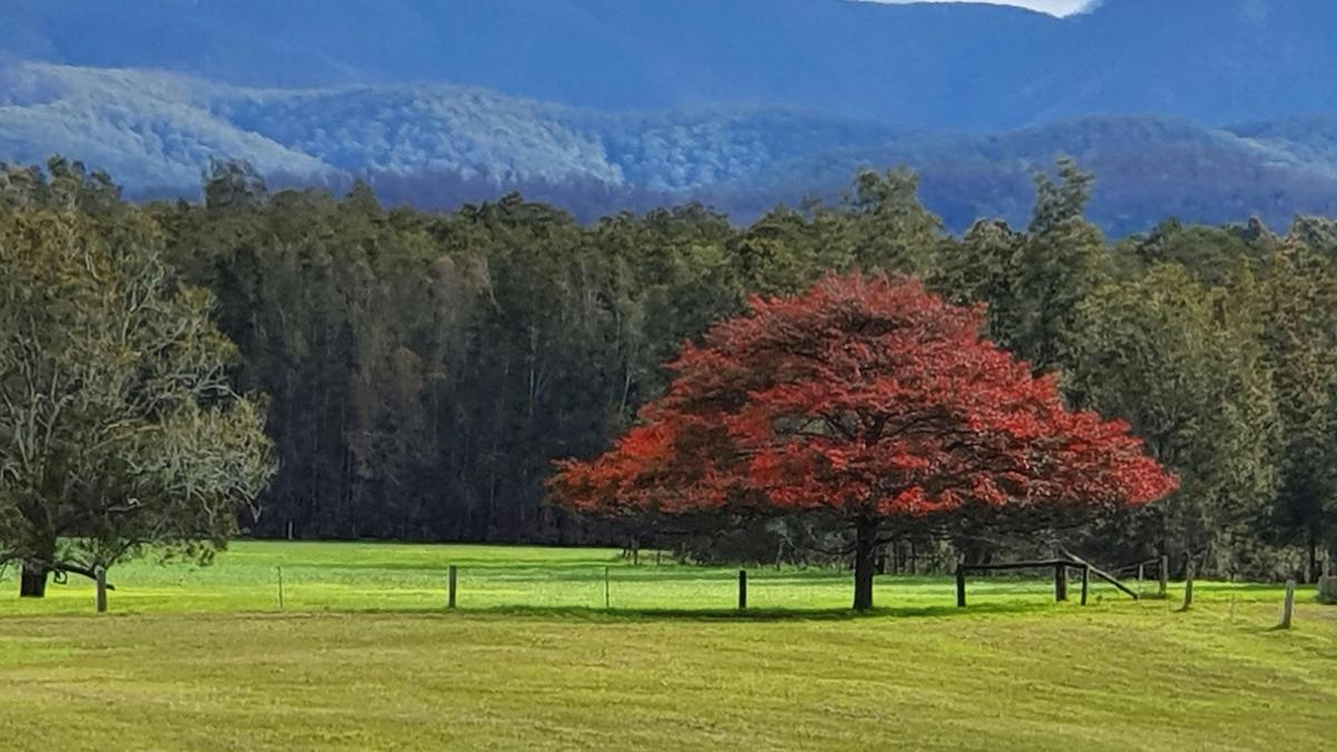 Riverview Farm, Bodalla