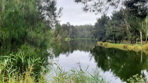 Riverview Farm, Bodalla