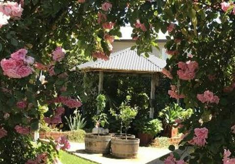 Rose Garden on Church