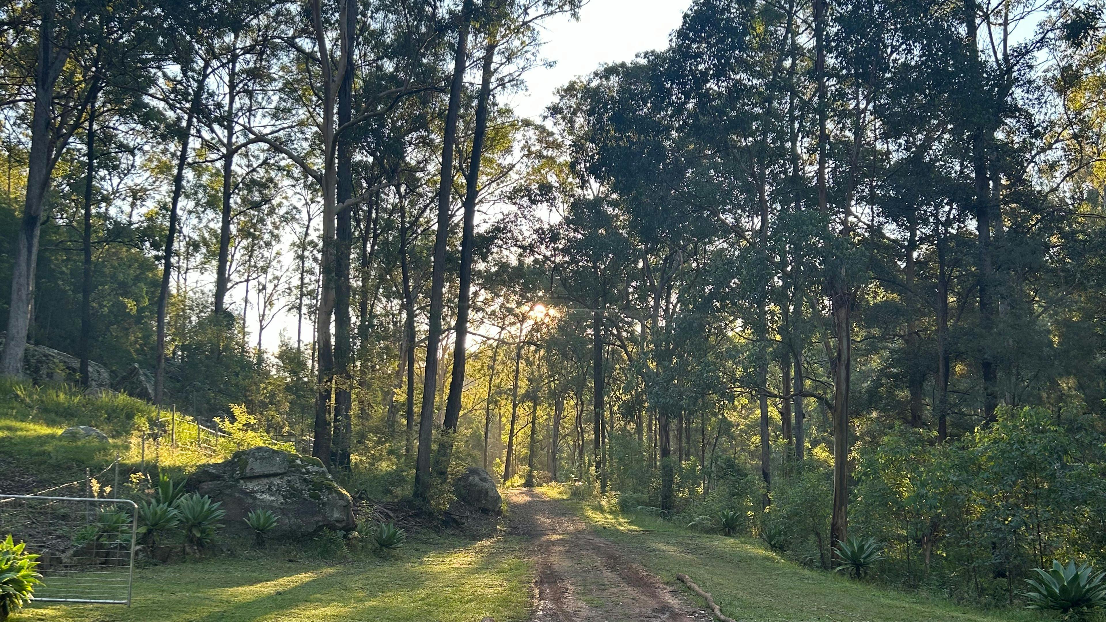 Rocky Forest Bush Retreat