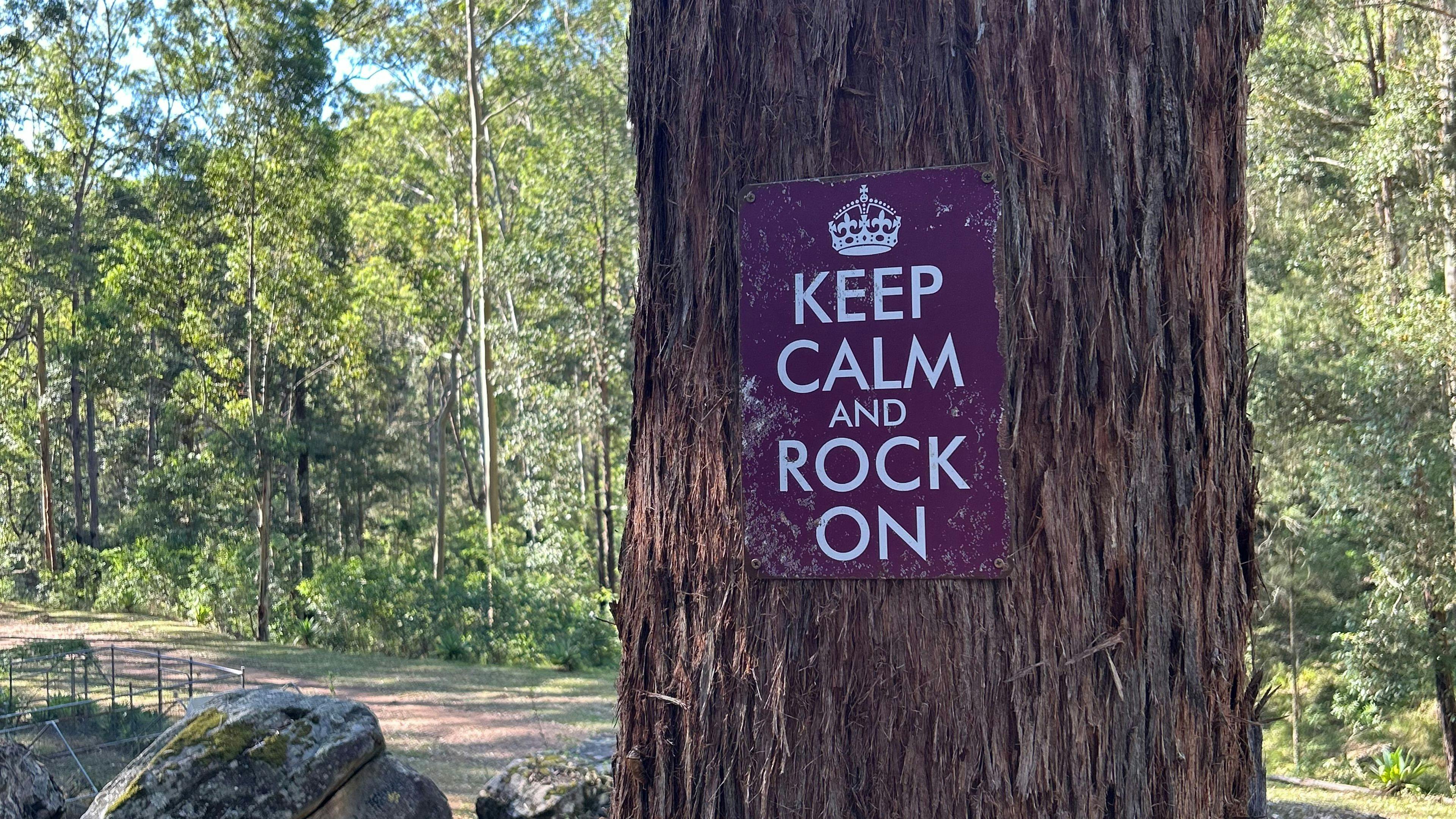 Rocky Forest Bush Retreat