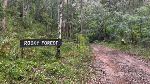 Rocky Forest Bush Retreat