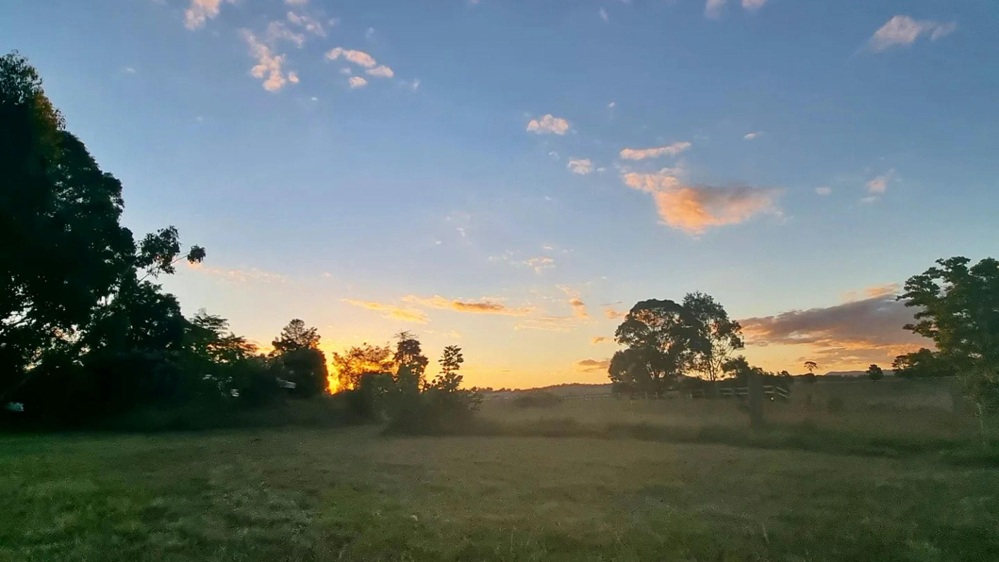 Purple Pear Farm Camping & RV's