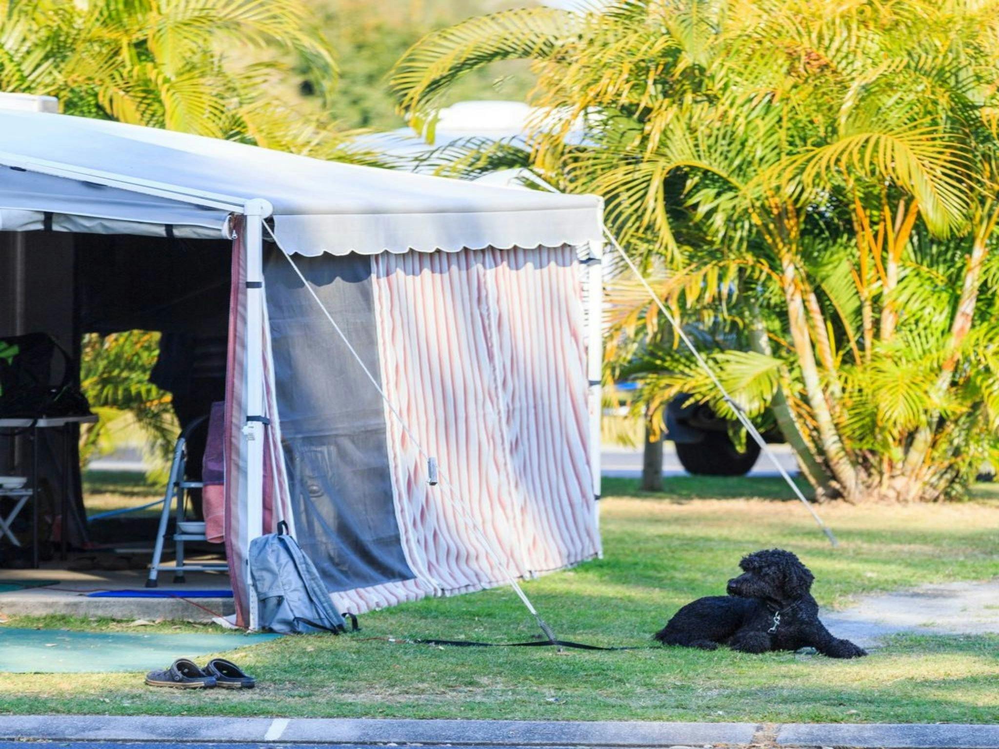 Reflections Holiday Parks Ferry Reserve Dog Friendly Sites