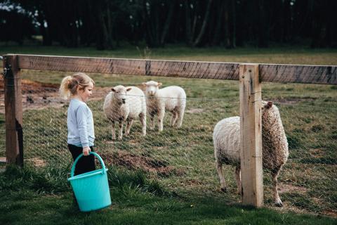 Roseanna Cottage Exeter