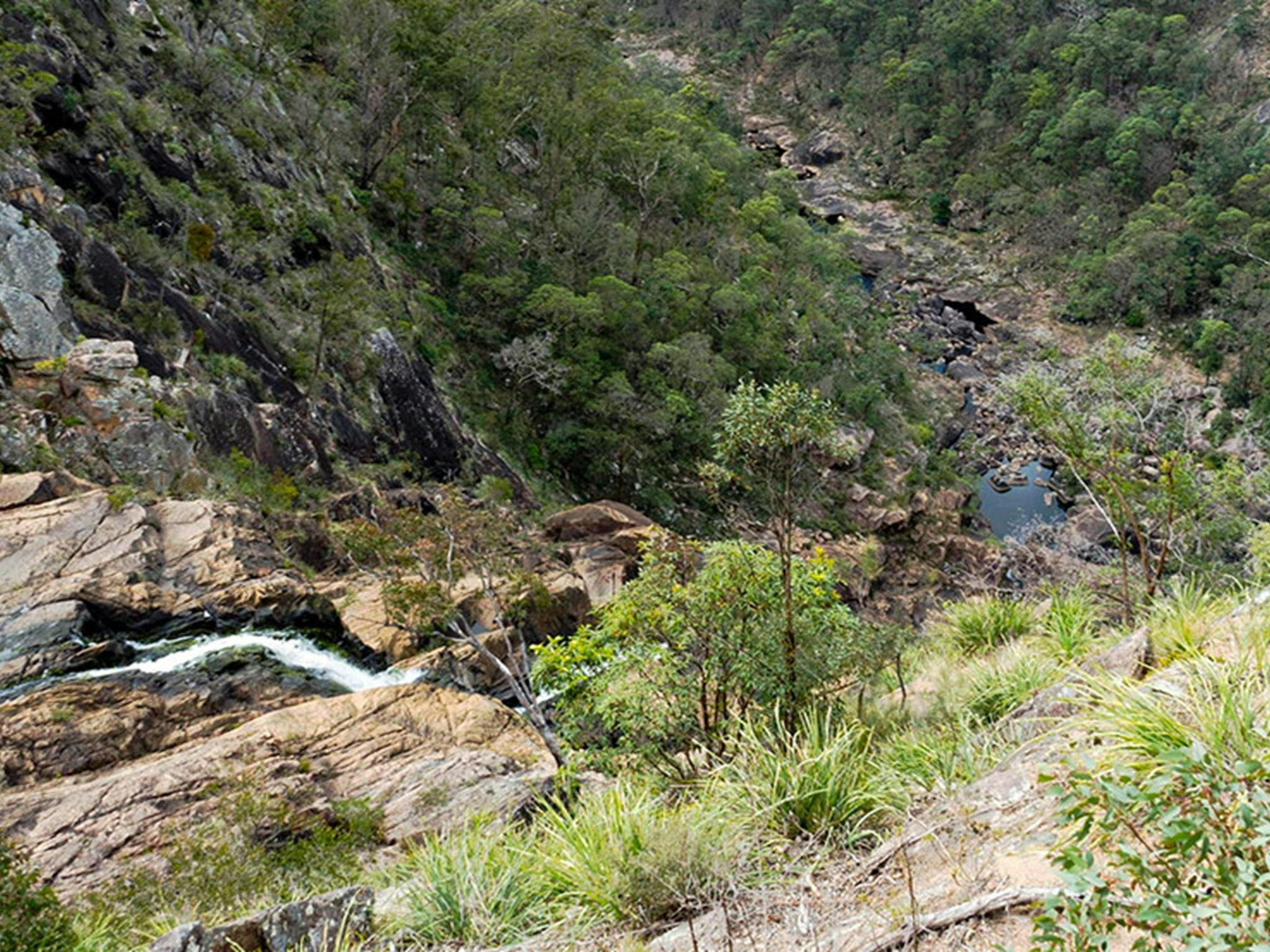 View of Boonoo Boonoo Falls plummeting over rock ledges into a steep rocky valley. Photo credit: