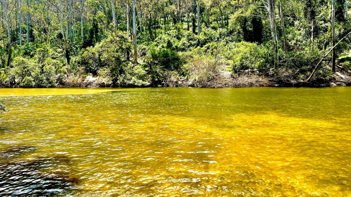 Shady Acres Colo River