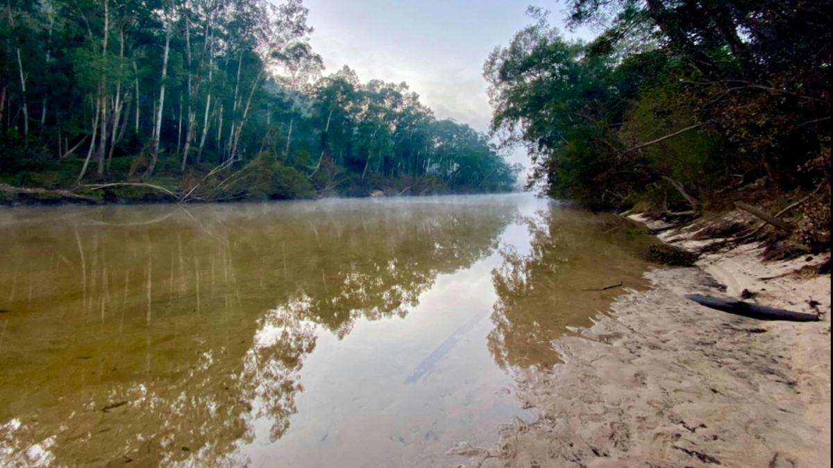 Shady Acres Colo River