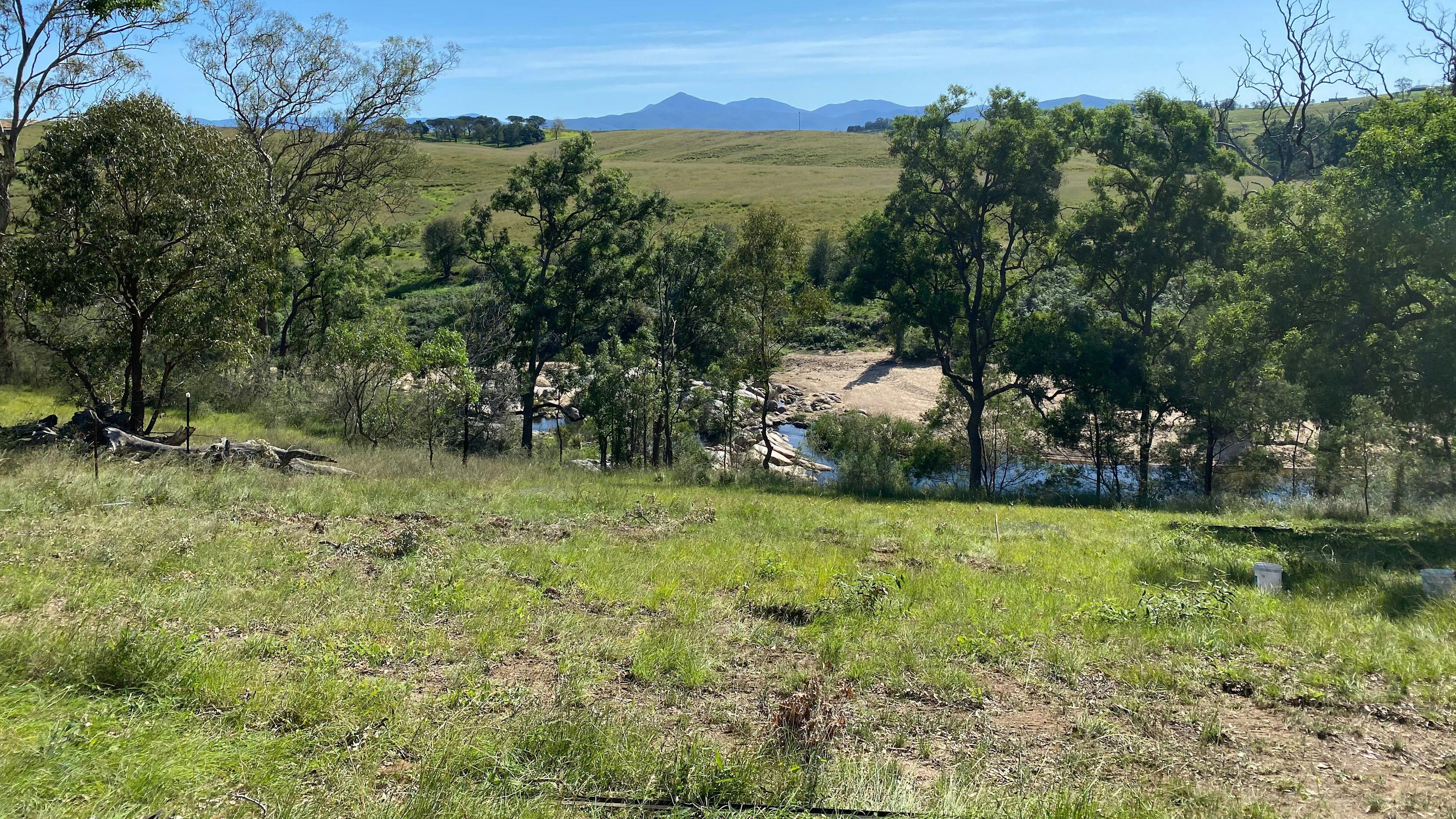 Scout's Run Private Creekside Camp