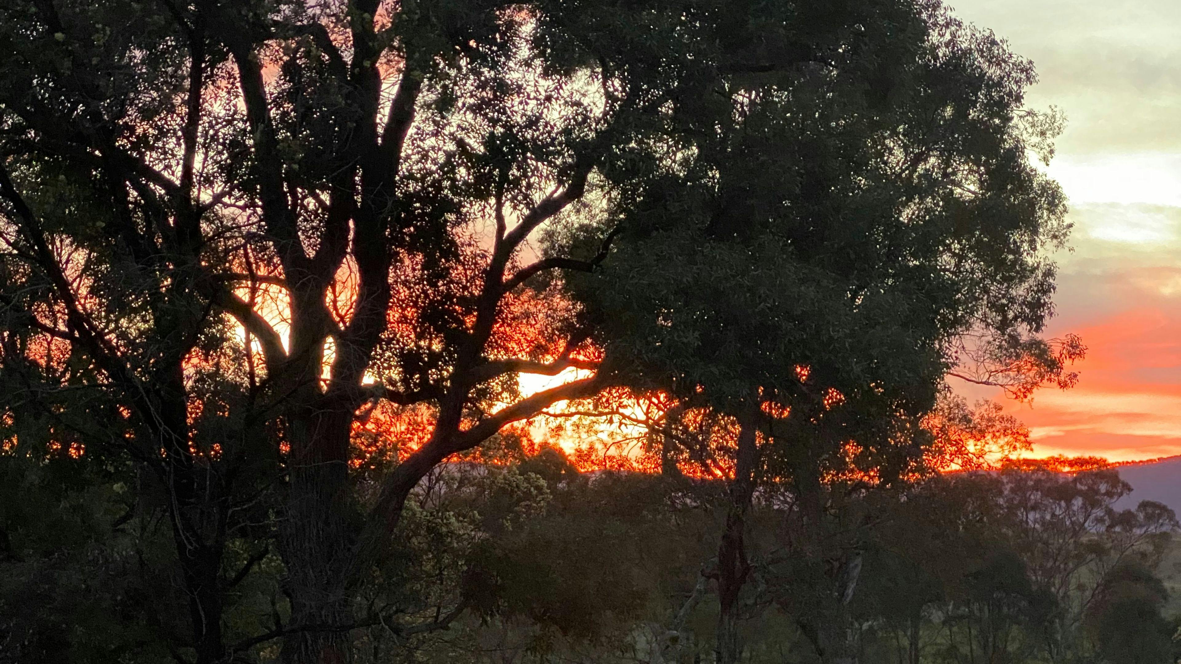 Scout's Run Private Creekside Camp