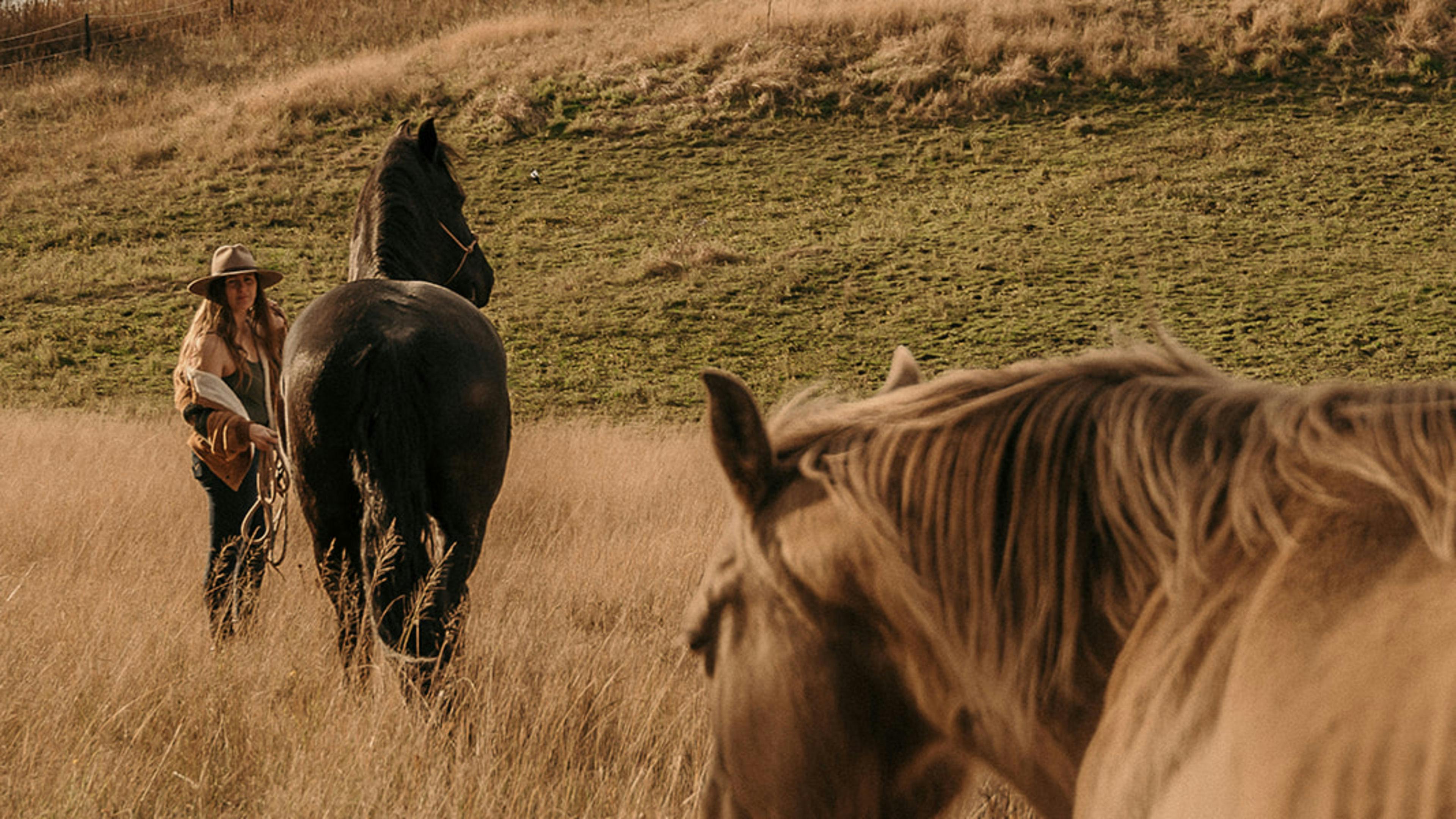 Scout's Run Private Creekside Camp