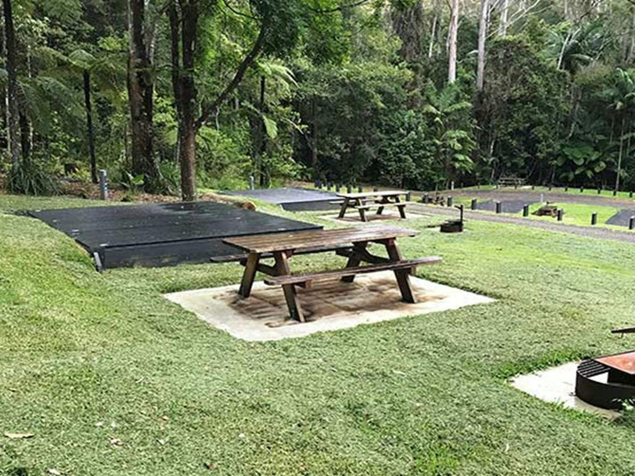 Site 10 platform at Rummery Park campground. Photo: Andrew Fay/OEH