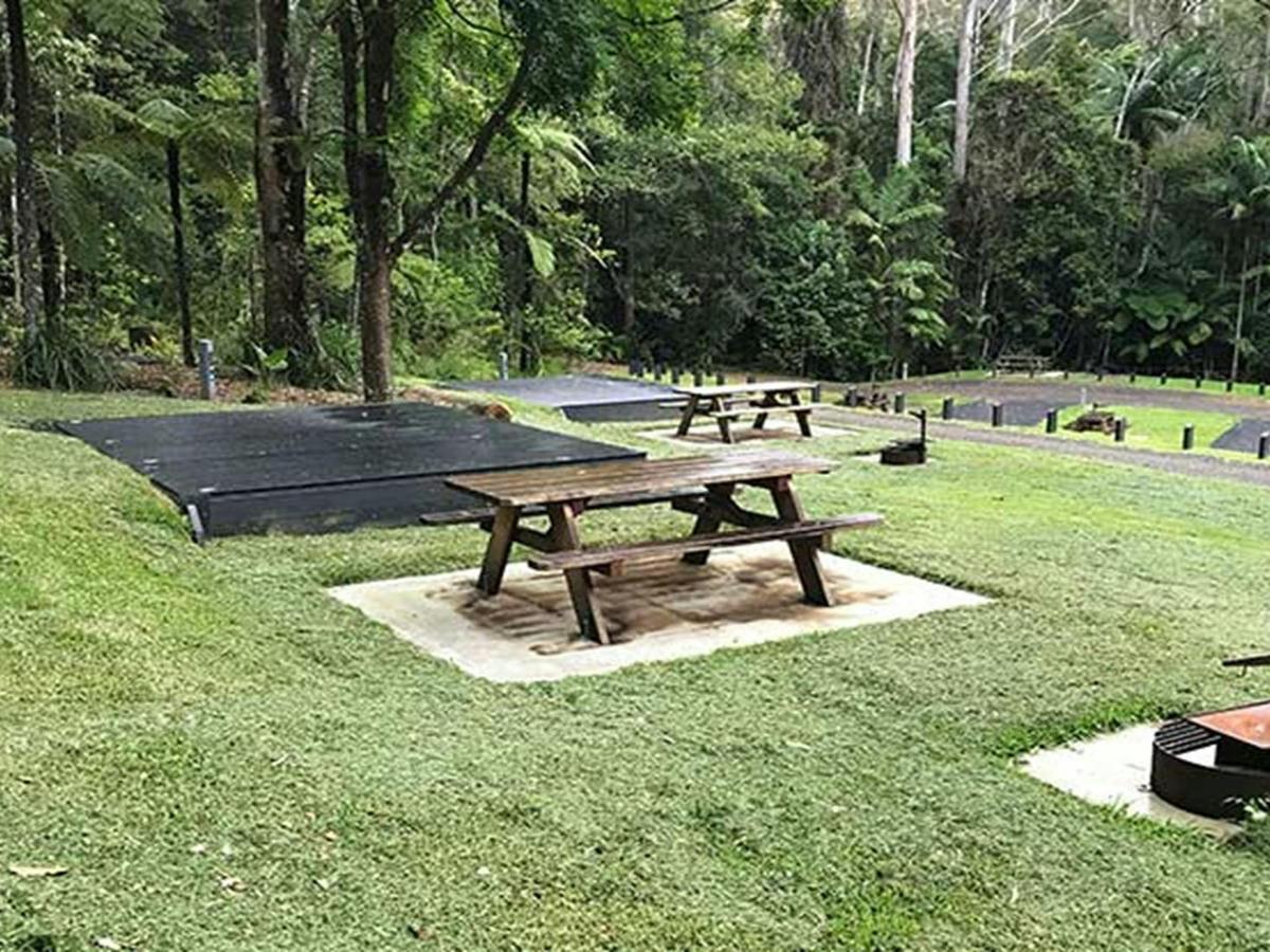 Site 10 platform at Rummery Park campground. Photo: Andrew Fay/OEH