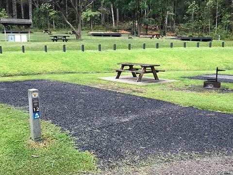Site 12 tent vehicle site at Rummery Park campground. Photo: Andrew Fay/OEH