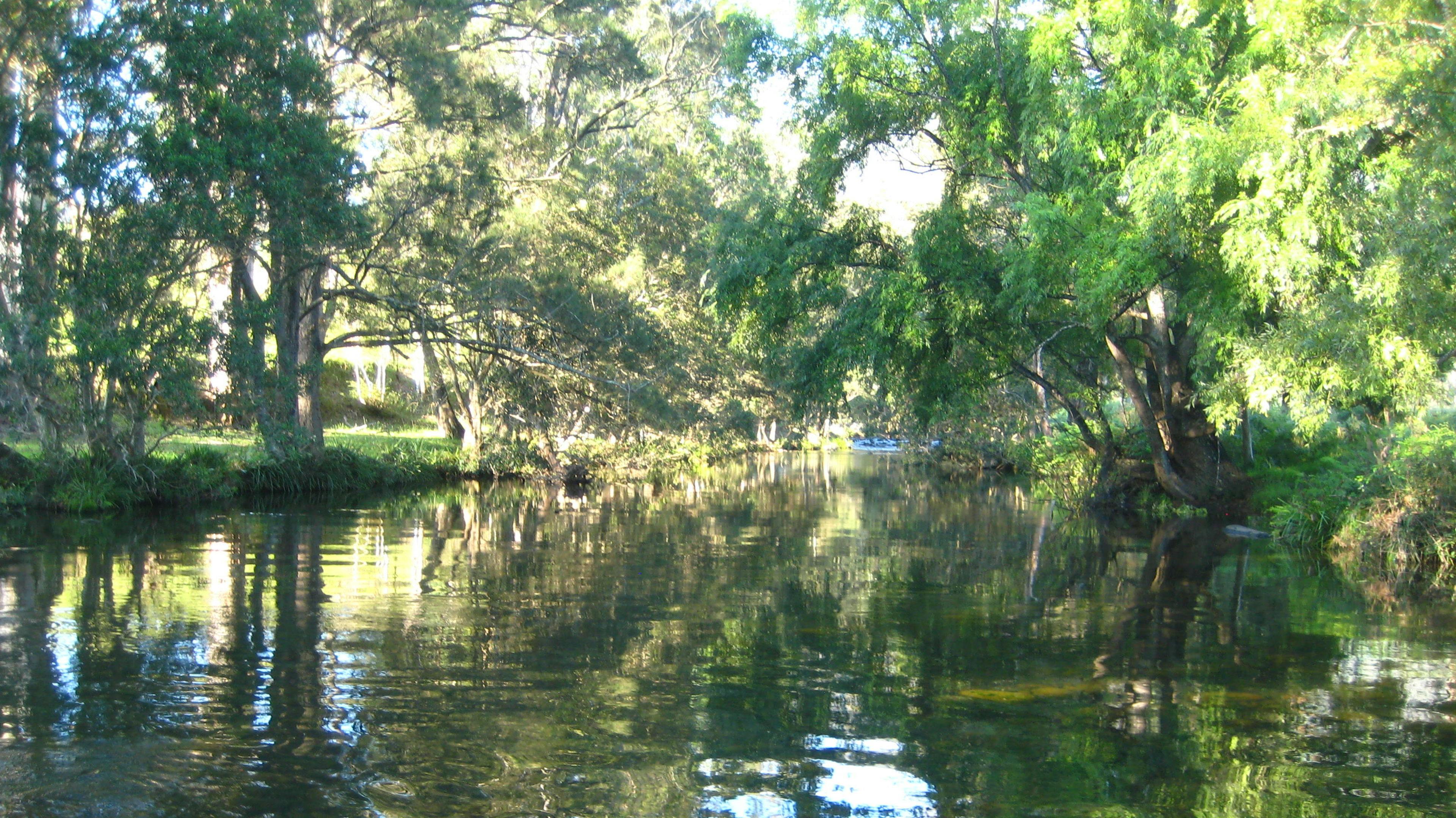 River Front Campsites