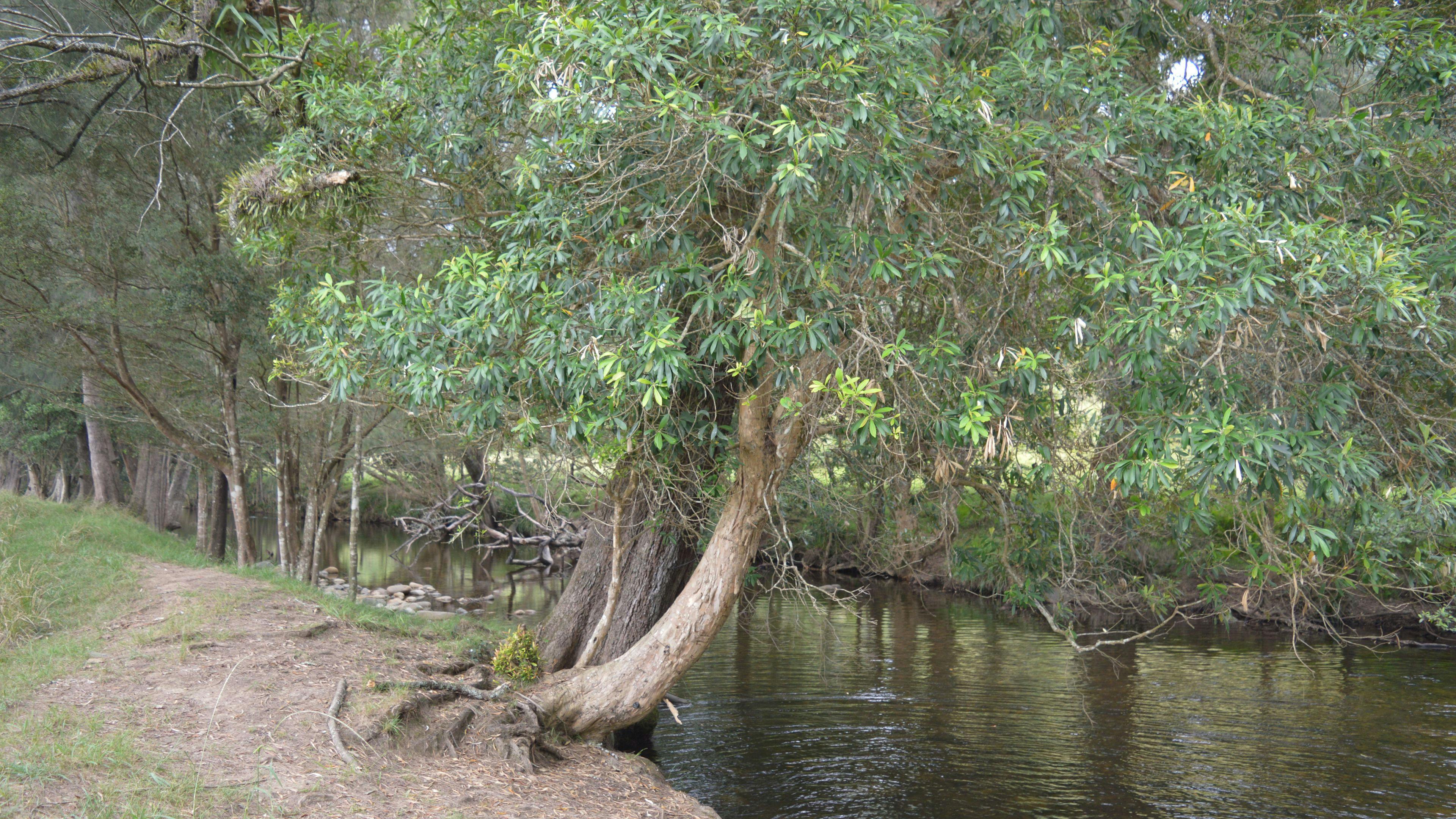 River Front Campsites